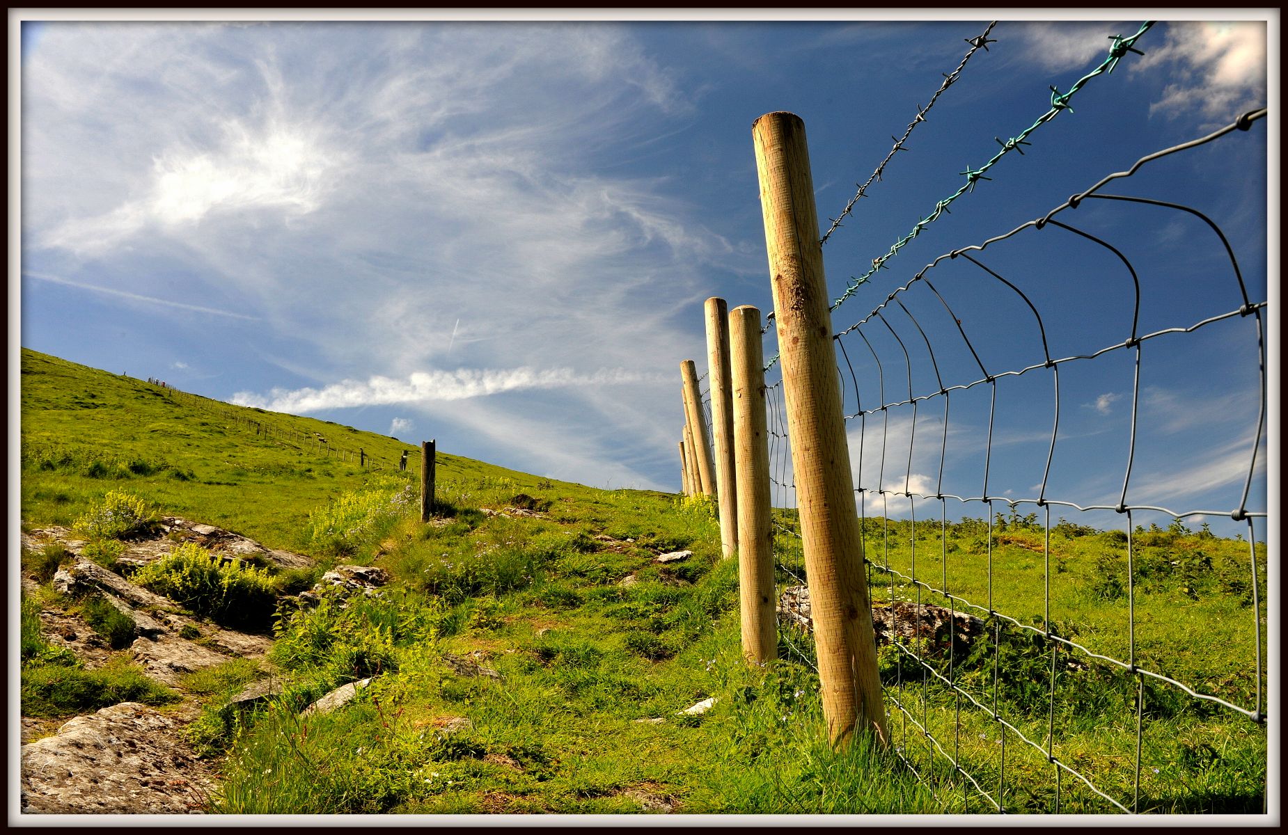 Don't Fence Me In - David Edwards